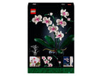 10311 L'orchidée